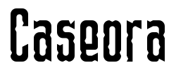 Caseora - logo
